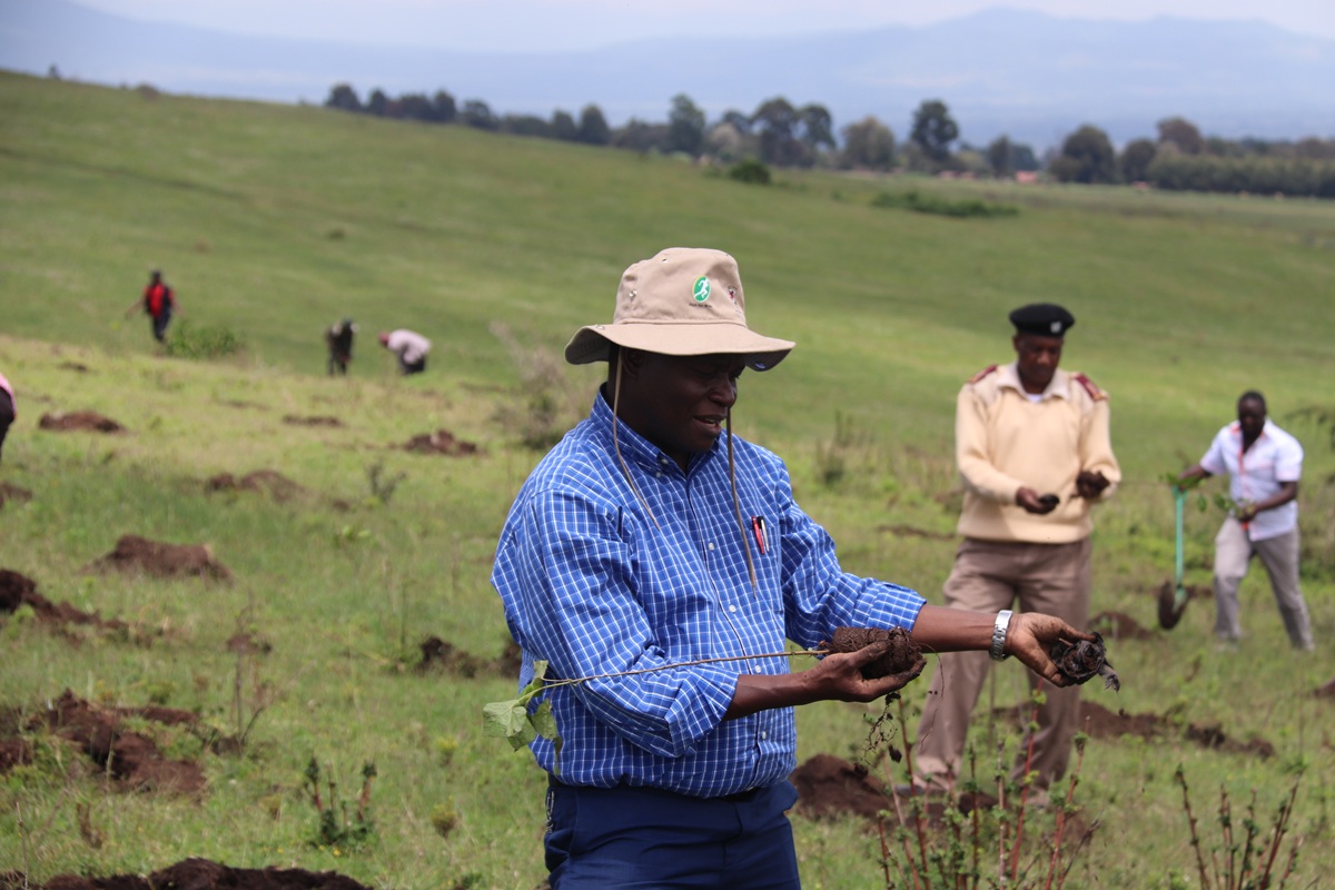 prof_mulwa_dvc_planting_trees
